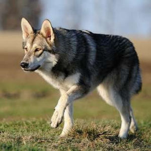 Meet your Posher, Evan